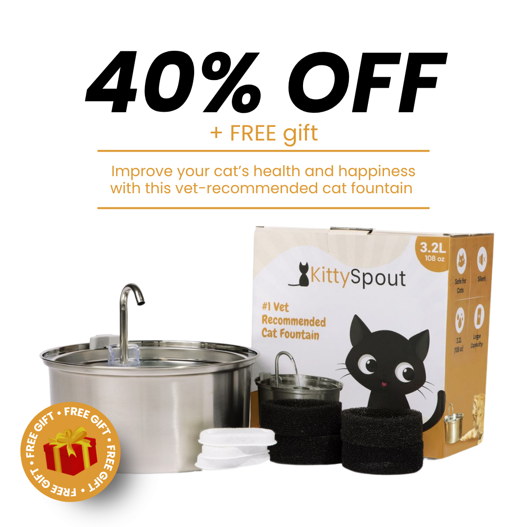 EveryFlow™ Kitty spout Fountain