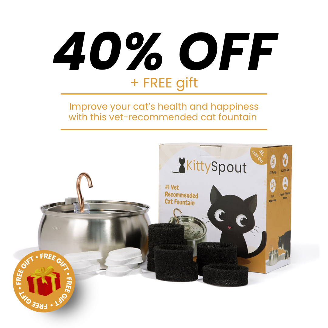 EveryFlow™ Kitty spout Fountain