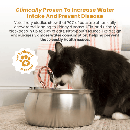 EveryFlow™ Kitty spout Fountain