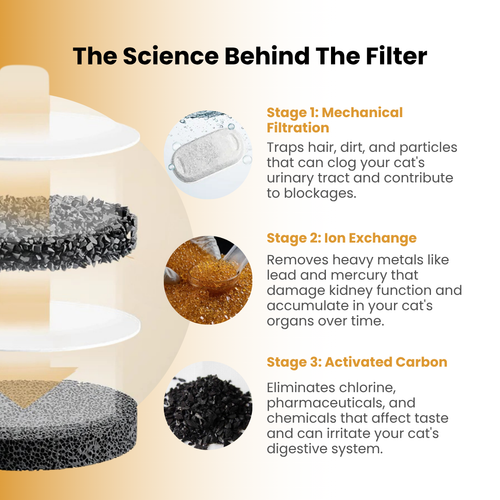 EveryFlow™ Kitty spout Fountain