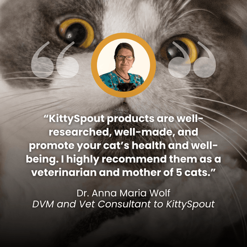 EveryFlow™ Kitty spout Fountain