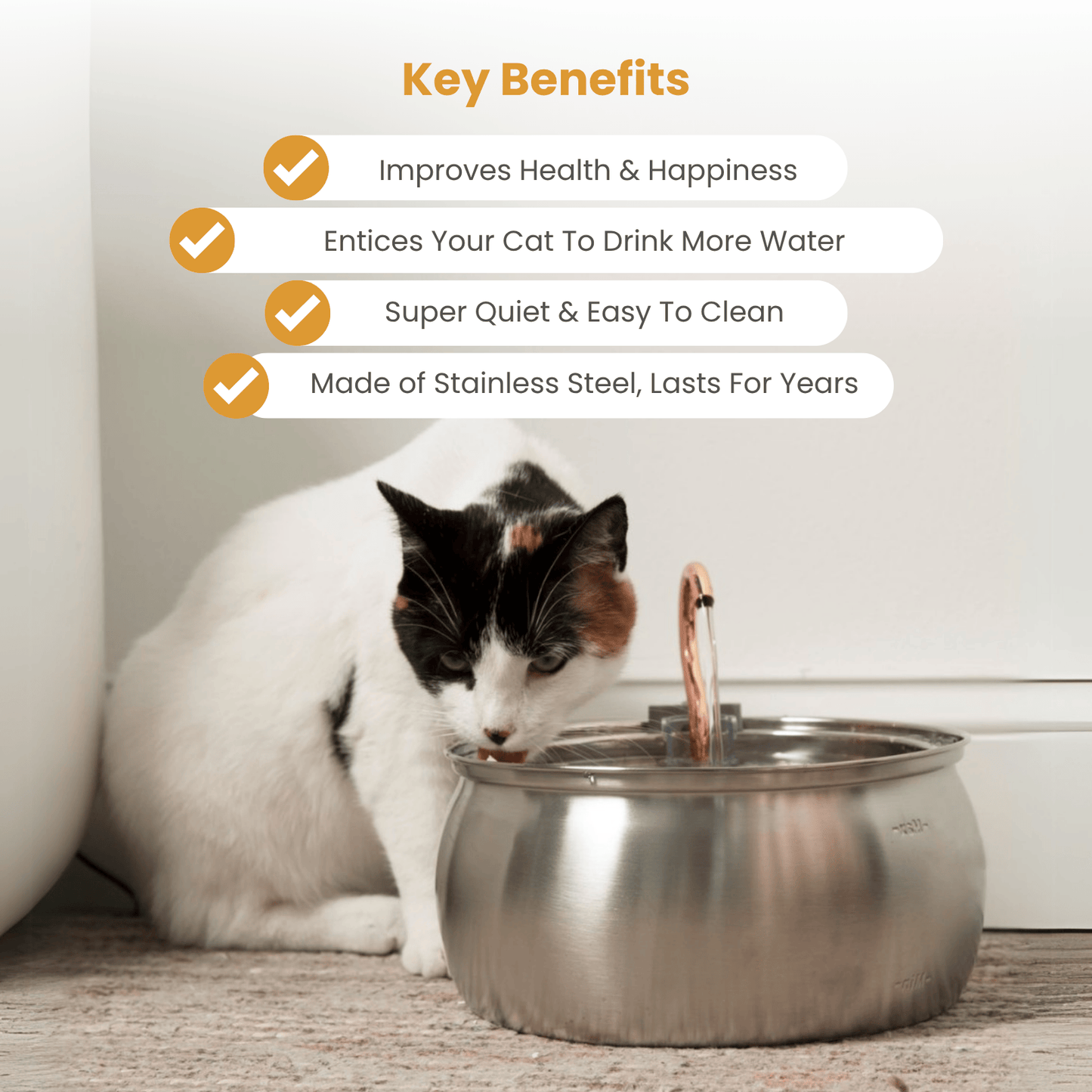 EveryFlow™ Kitty spout Fountain