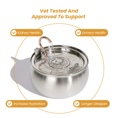 EveryFlow™ Kitty spout Fountain