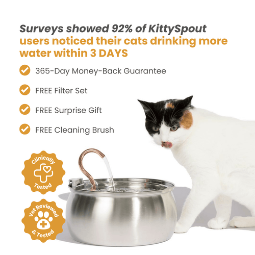 EveryFlow™ Kitty spout Fountain