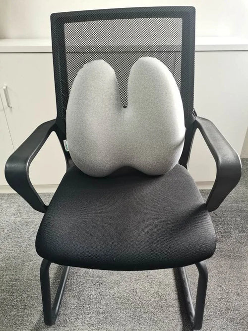 ErgoRelief™ Lumbar Support Cushion