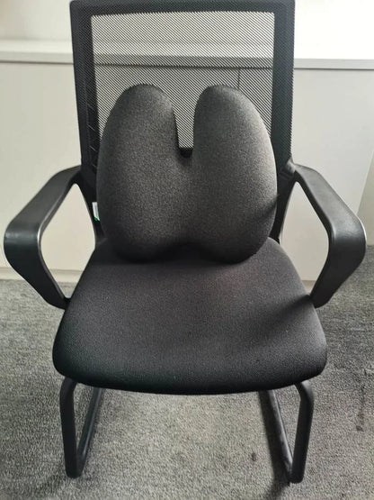 ErgoRelief™ Lumbar Support Cushion