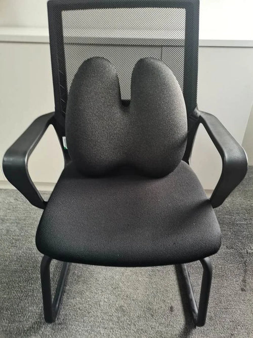 ErgoRelief™ Lumbar Support Cushion