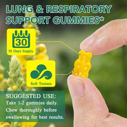 Respira™ Mullein Gummies - Lung & Immune Support