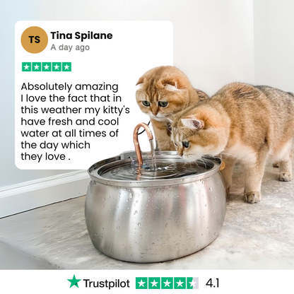 EveryFlow™ Kitty spout Fountain