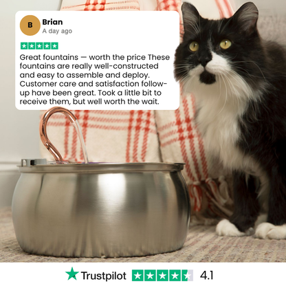 EveryFlow™ Kitty spout Fountain