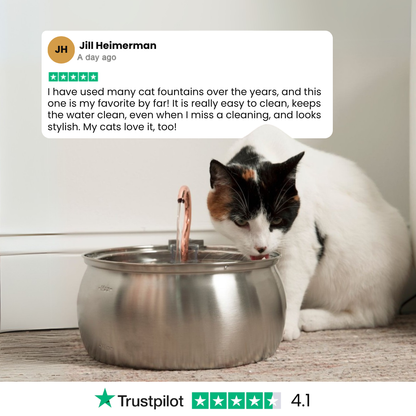 EveryFlow™ Kitty spout Fountain