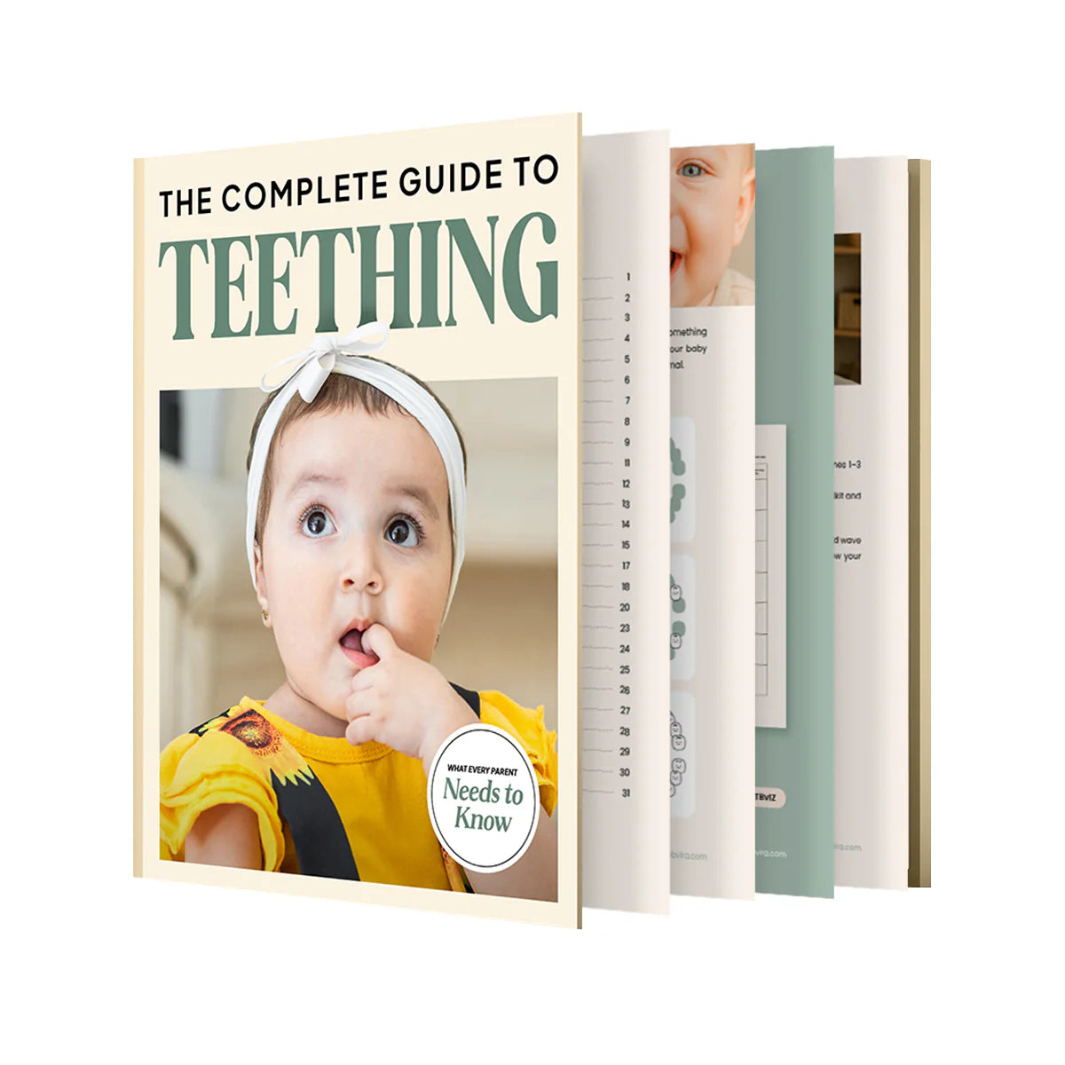 The Complete Guide to Teething