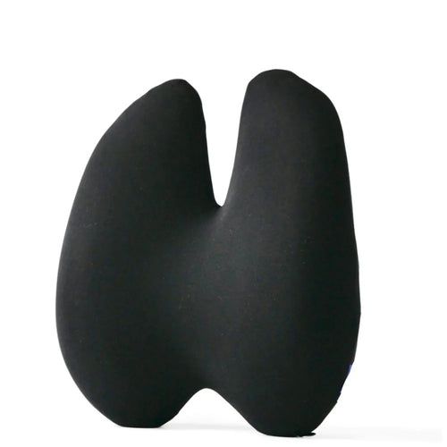 ErgoRelief™ Lumbar Support Cushion