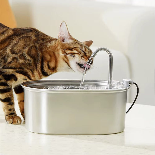 EveryFlow™ Kitty spout Fountain