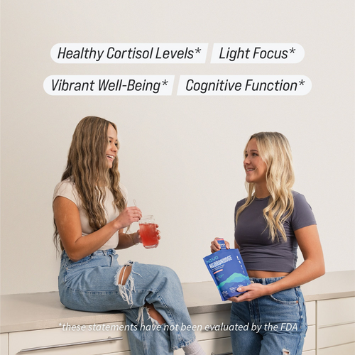 NeuroNudge™ Calming Drink Mix