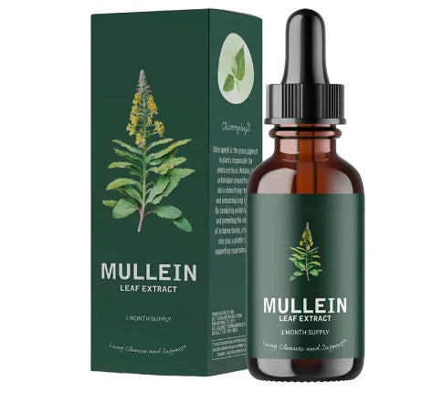 Organic Mullein Leaf Extract