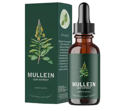 Organic Mullein Leaf Extract
